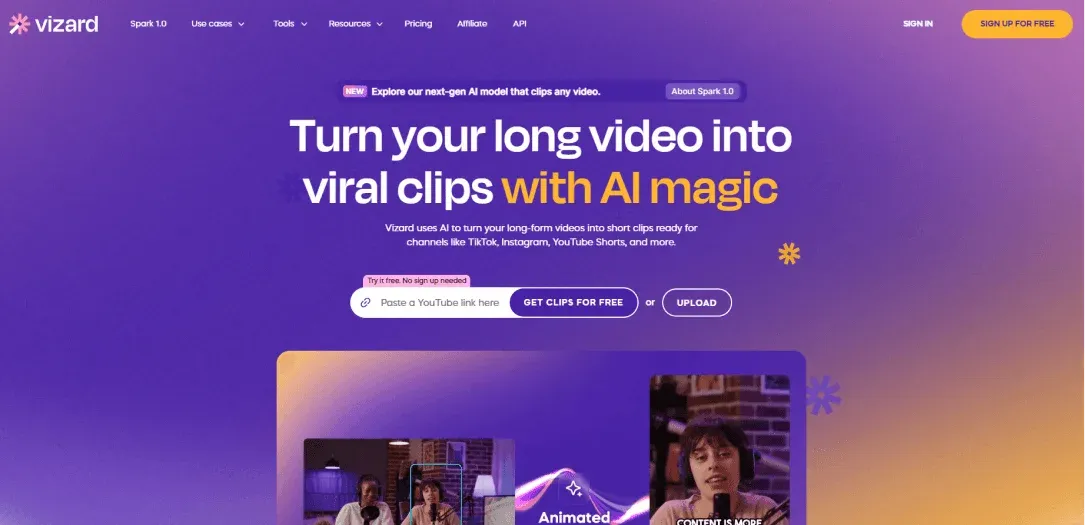 Vizard